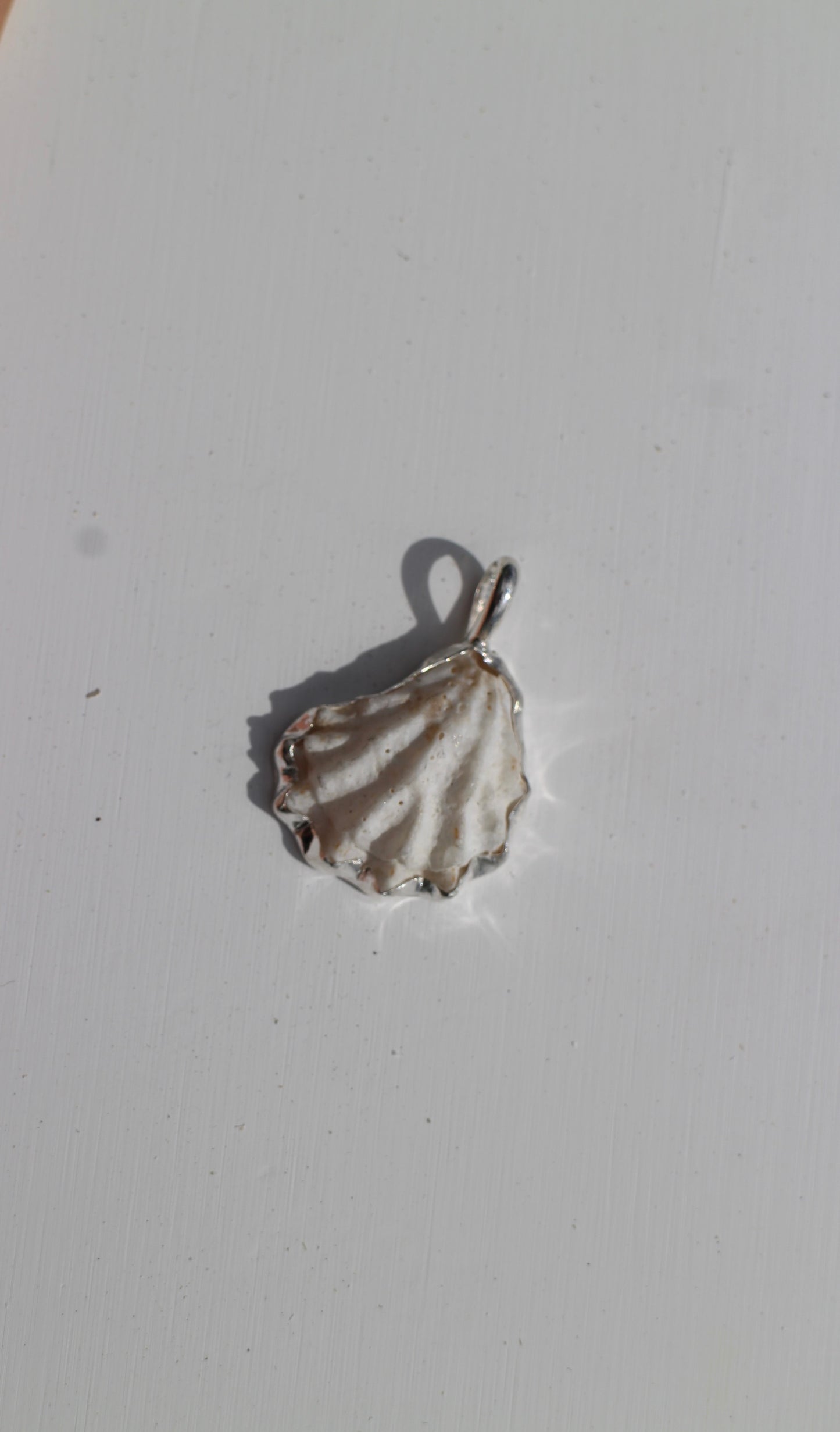 Seashell pendant