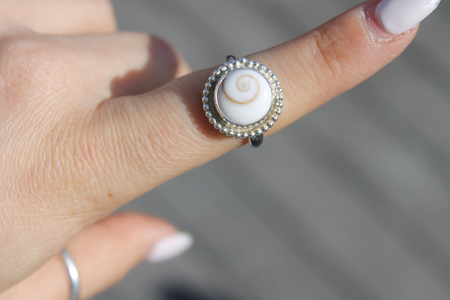 Shiva Shell w/ bead decor size 7.75