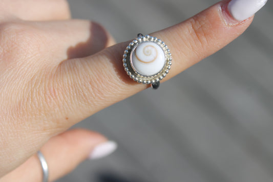 Shiva Shell w/ bead decor size 7.75