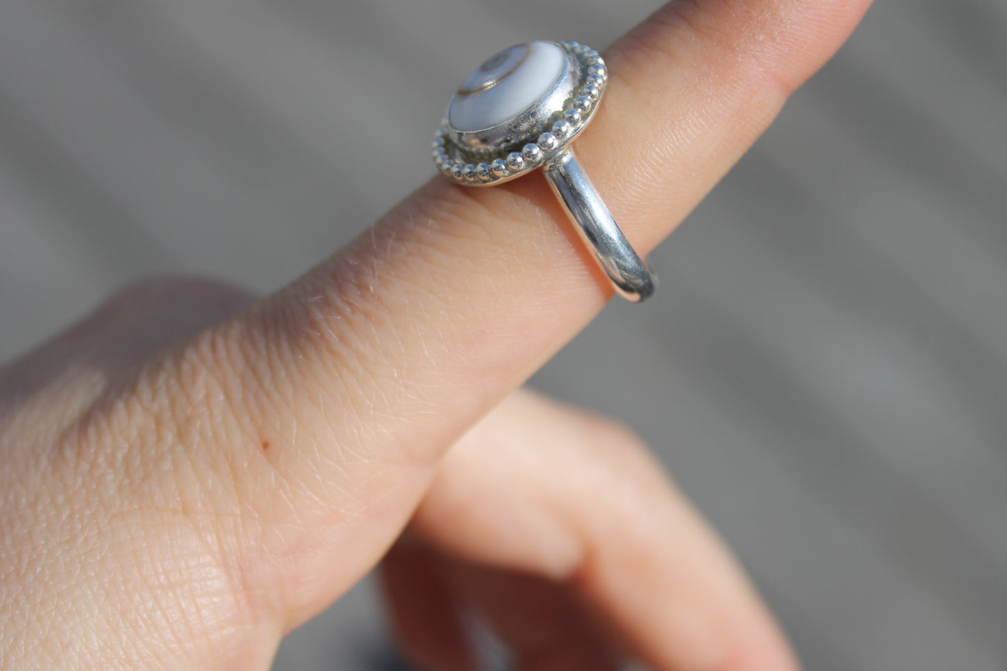 Shiva Shell w/ bead decor size 7.75