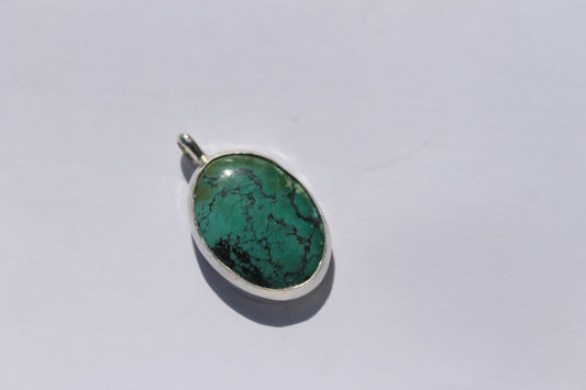 Turquoise w/ dolphin outline pendant