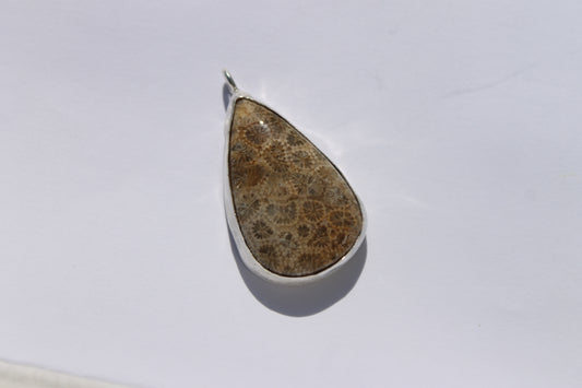 Fossilized coral w/ whale tail