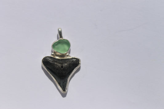 Shark tooth w/ seaglass pendant