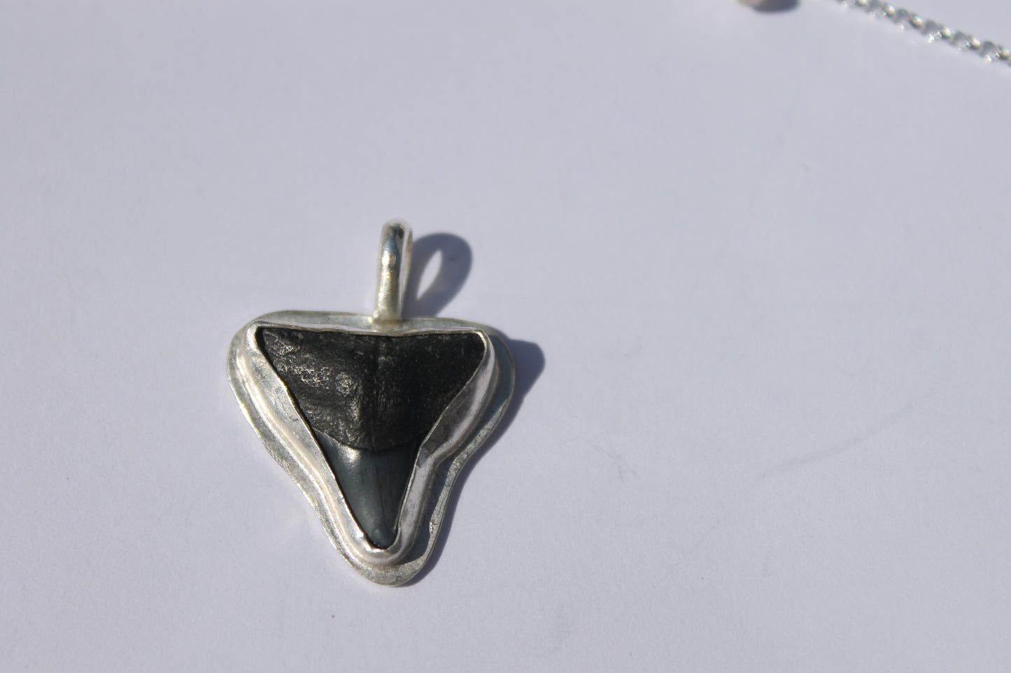 Shark tooth pendant