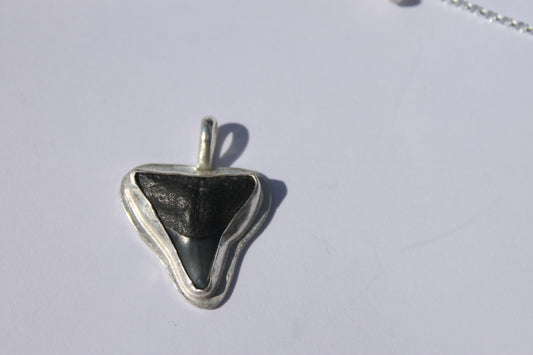 Shark tooth pendant