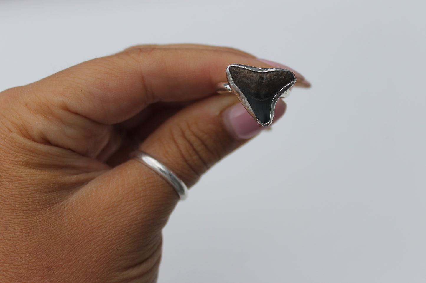 Shark Tooth Ring size 7.75