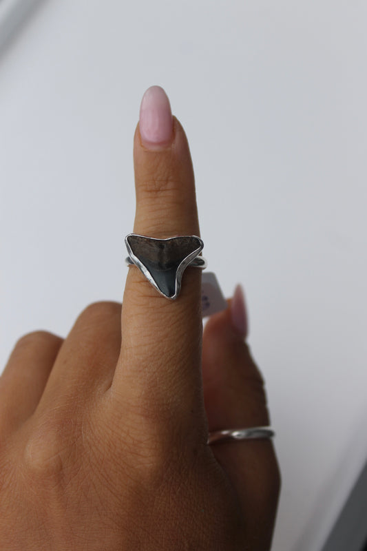 Shark Tooth Ring size 7.75