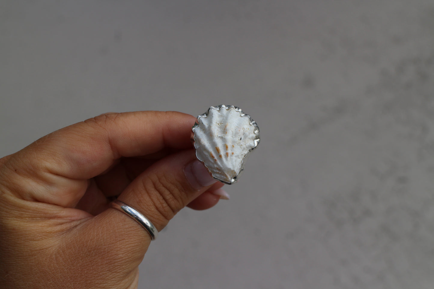 Seashell Ring size 7.5