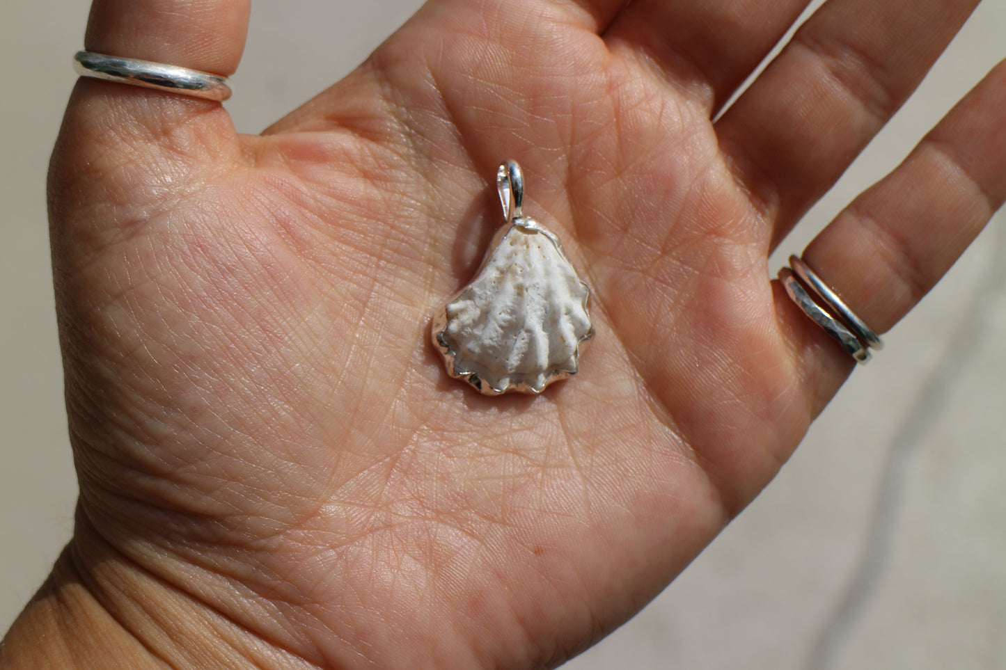 Seashell pendant