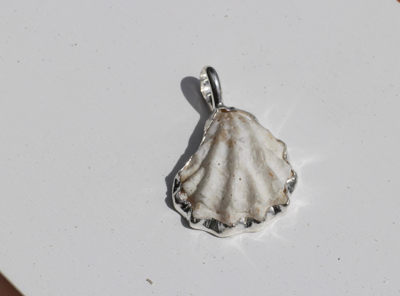 Seashell pendant